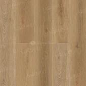 1003-19 Mirto