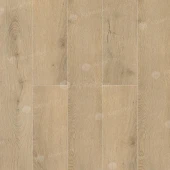 Дуб Фелис ABA ECO 7-25