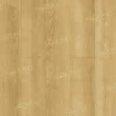 LF302-06 Дуб Лузон