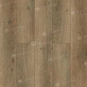 Дуб Эниф ABA ECO 7-31