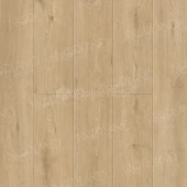 1008-3 ABA Dor