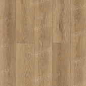 Gaula 1022-21