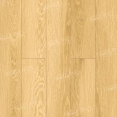 LF301-07 Дуб Тавора