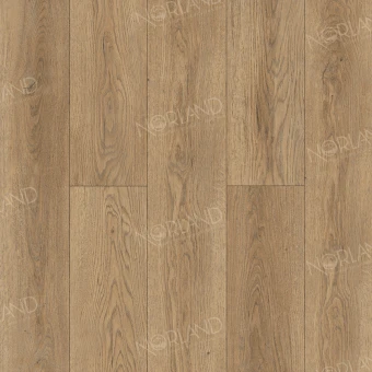 Gaula 1022-21
