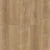 Gaula 1022-21
