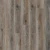 Дуб Тонгасс 2007