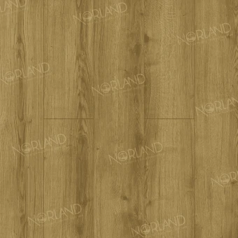 LF302-17 Дуб Фанэн