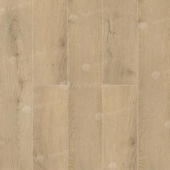 Дуб Фелис ABA ECO 7-25