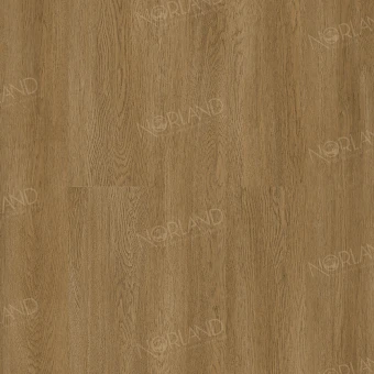 Lierne 1022-14