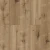 Gutulia 1022-12