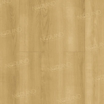 LF302-06 Дуб Лузон