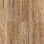 Дуб Париж А 105