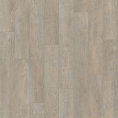 DISCOVERY - Hudson 2