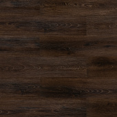 2210 Дуб африканский