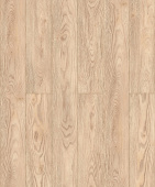 D51047 Дуб Сальва