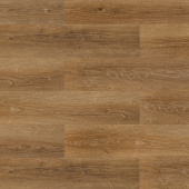 2204 Дуб легкий