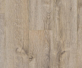 FP579 Дуб Дали