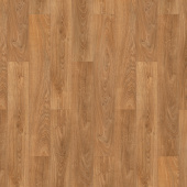 Дуб медовый шервуд