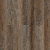 Дуб Корнуолл 1585