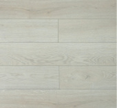 U1964 Дуб Рома 