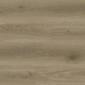 8388 Дуб Бертран