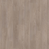 Дуб шервуд северный