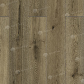 LF100-22 Дуб Эмполи