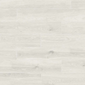 U601 Дуб Волютто