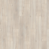 Дуб северный