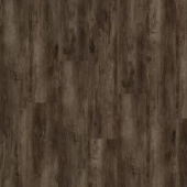 OSPC20261 Дуб Тенистый 