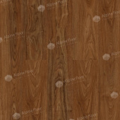 ECO 22-2 Маррон