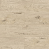 50747 Дуб Бирта