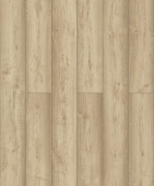 D50917 Дуб Риден