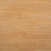 6608 Дуб песочный