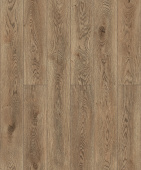 D50607 AF Дуб Бенджамин