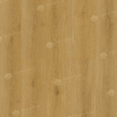 ЕСО 21-23 Элиас