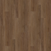 6244 Дуб Веларус античный