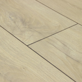 Дуб Винзер D3545