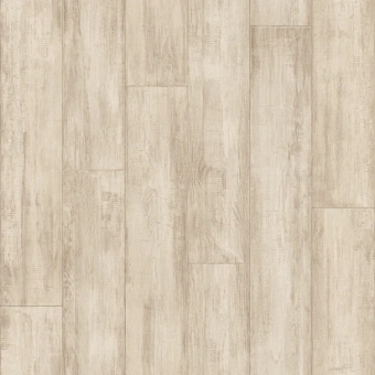 IDYLLE NOVA  KLONI 1; KLONI 2; KLONI 3