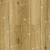 LF101-06 Дуб Ливорно