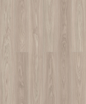 D50577 Дуб Леммингтон