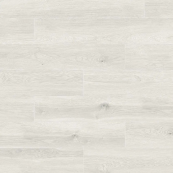 U601 Дуб Волютто