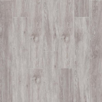 Дуб Огайо 2003