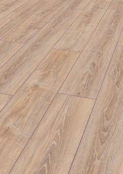 2987 Дуб Ретушированный