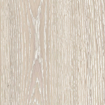 FP09 Дуб Онтарио