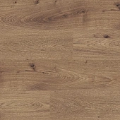 4112 Дуб Райли