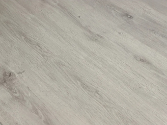 Дуб Дарвинский FH-104