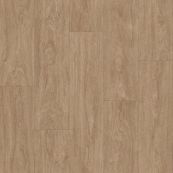 ФАВОРИТ TALBOT 1; TALBOT 2; TALBOT 3