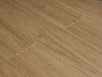 SE717 Дуб Махабодхи