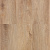 Дуб Бремен ZH-82021-7